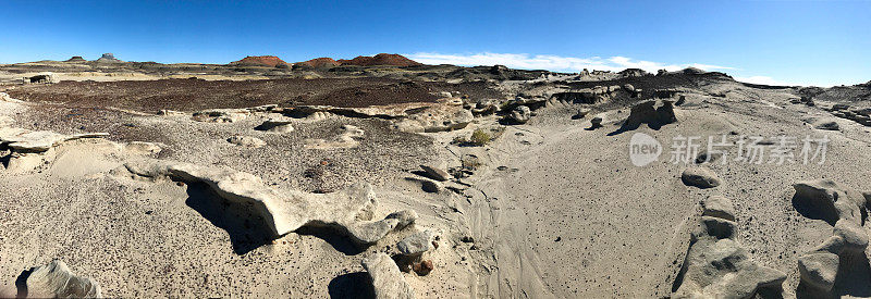 Bisti Badlands, NM全景:岩石景观与胡都